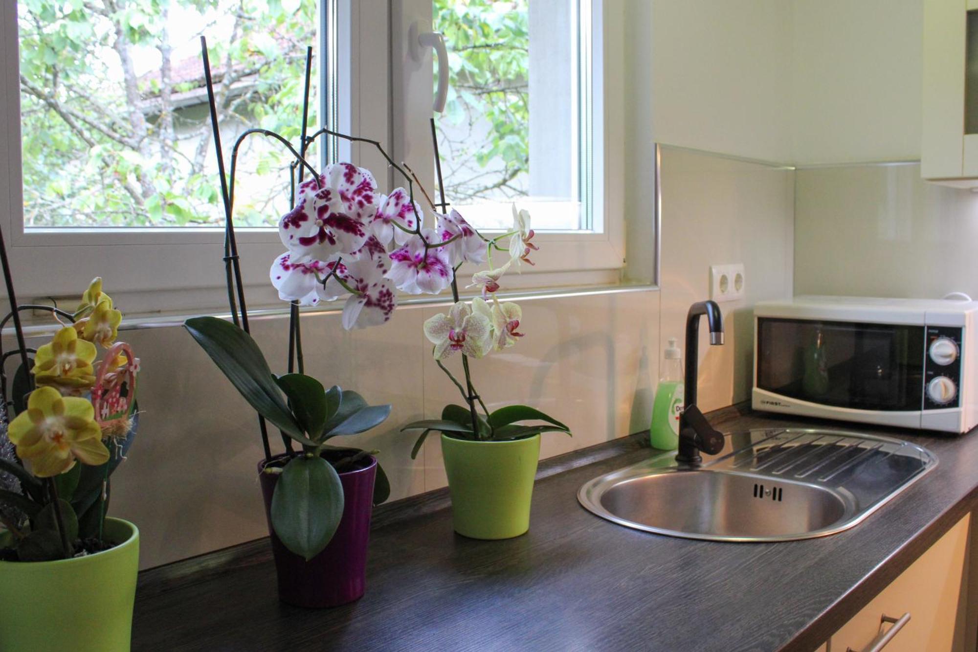 Apartman Nadja&Dani Kulen Vakuf Zewnętrze zdjęcie
